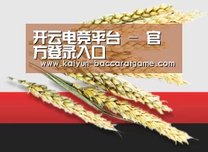 开云电竞平台 - 官方登录入口