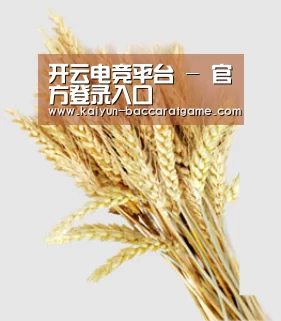 开云电竞平台 - 官方登录入口