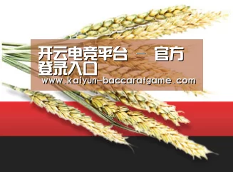 开云电竞平台 - 官方登录入口