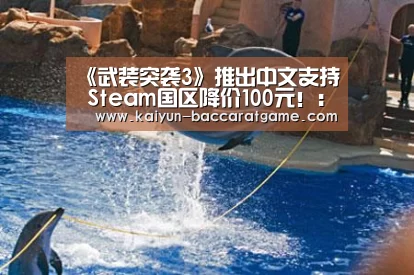 《武装突袭3》推出中文支持 Steam国区降价100元!:开云入口(图3) 开云入口